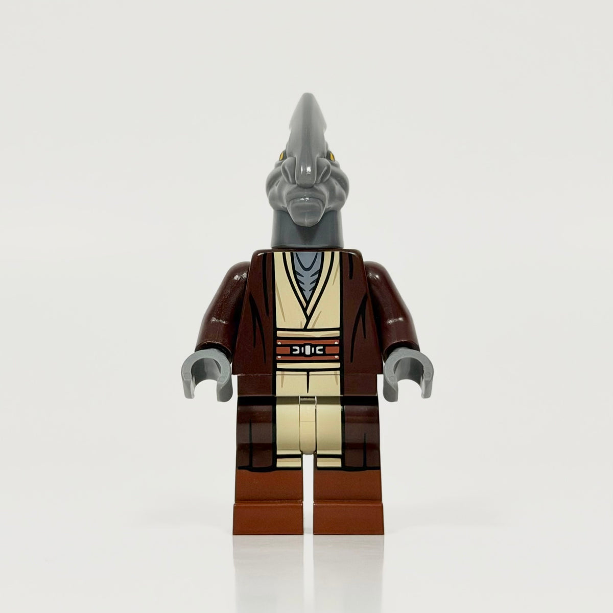 Fallen Fossil - Custom Figure (BDM)