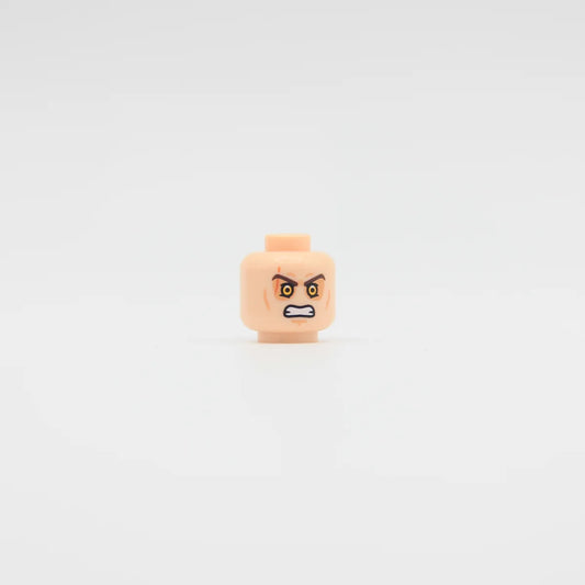 Fallen Champion Head (Pupils) - Custom Part (RC)