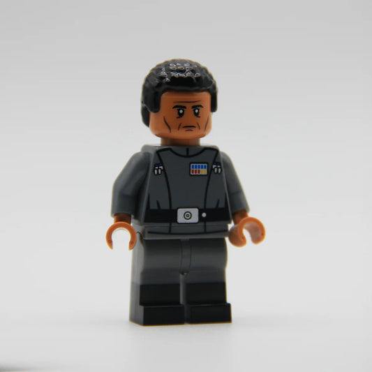 RC Loyalist Lord - LEGO Custom Minifigure