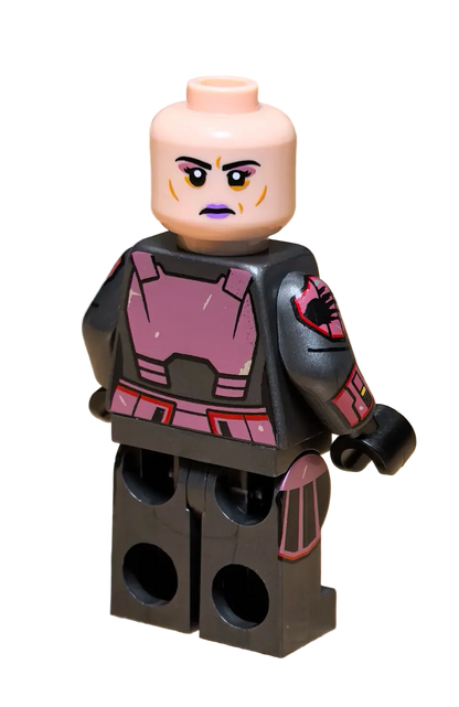 Rook Kast PREORDER - LEGO Custom Minifigure (GCC)
