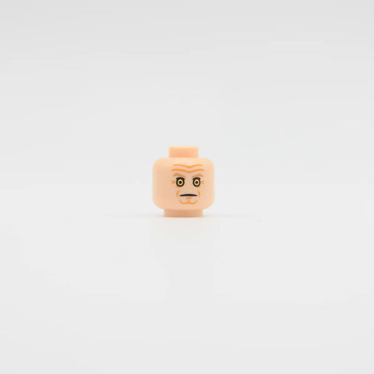 Captive Conniver Head (Pupils) - Custom Part (RC)