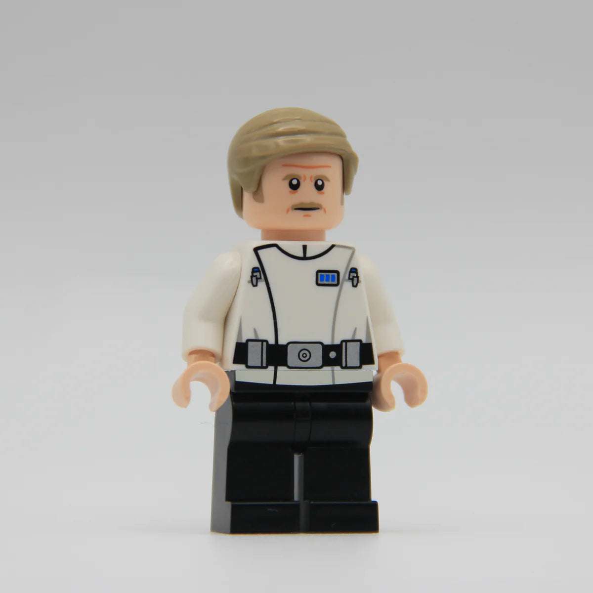 Supervisor Lonni - LEGO Custom Minifigure (RC)