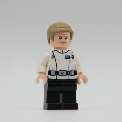 Supervisor Lonni - LEGO Custom Minifigure (RC)