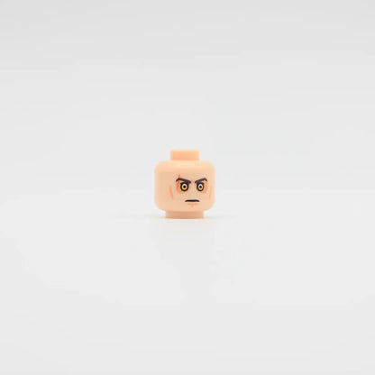 Fallen Champion Head (Pupils) - Custom Part (RC)