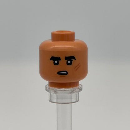 Angsty Apprentice Head - Custom Part (Weber - Pad)