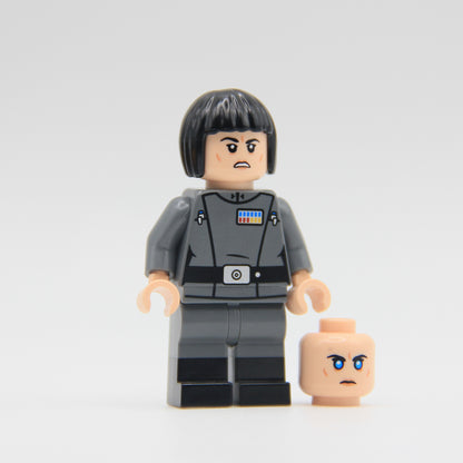 Ambitious Administrator - Custom Figure (RC)